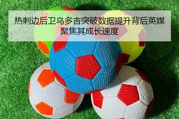 img_1783518041046_697_1_482.jpg